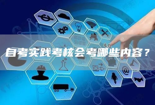 自考实践考核会考哪些内容？
