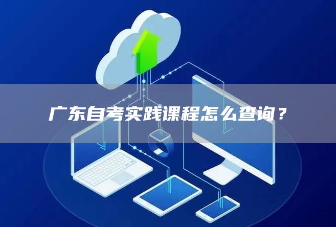 广东自考实践课程怎么查询？