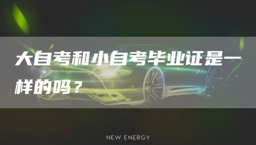 大自考和小自考毕业证是一样的吗？
