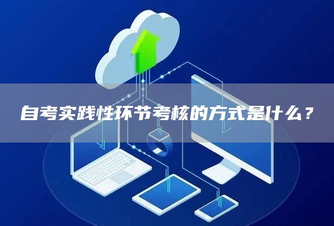 自考实践性环节考核的方式是什么？