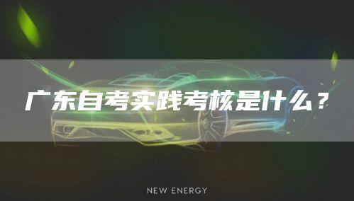 广东自考实践考核是什么？