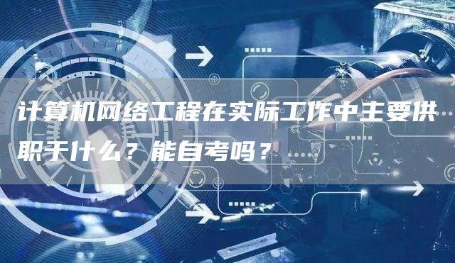 计算机网络工程在实际工作中主要供职于什么？能自考吗？