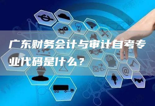 广东财务会计与审计自考专业代码是什么？(图1)