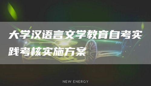 大学汉语言文学教育自考实践考核实施方案