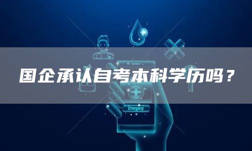 国企承认自考本科学历吗？