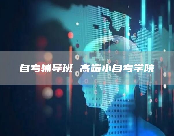 自考辅导班 高端小自考学院