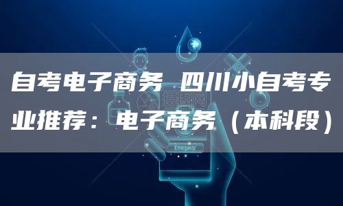 自考电子商务 四川小自考专业推荐：电子商务（本科段）(图1)