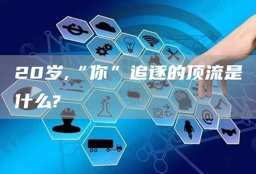 20岁,“你”追逐的顶流是什么?(图1)