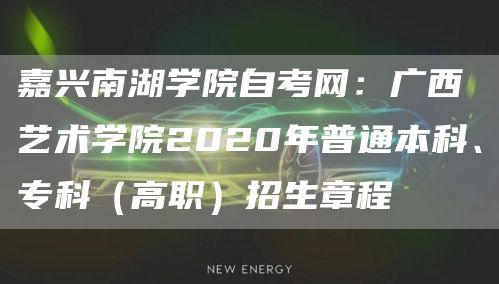 嘉兴南湖学院自考网：广西艺术学院2020年普通本科、专科（高职）招生章程