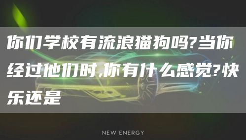 你们学校有流浪猫狗吗?当你经过他们时,你有什么感觉?快乐还是(图1)