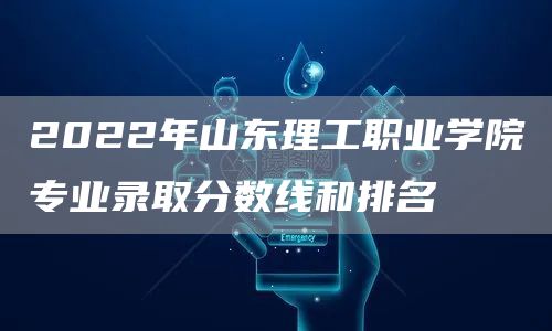 2022年山东理工职业学院专业录取分数线和排名(图1)