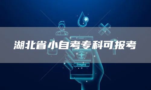 湖北省小自考专科可报考