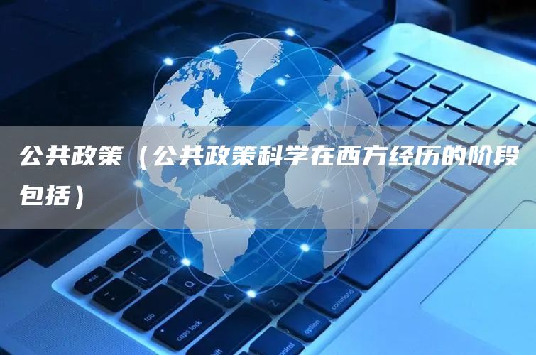 公共政策（公共政策科学在西方经历的阶段包括）