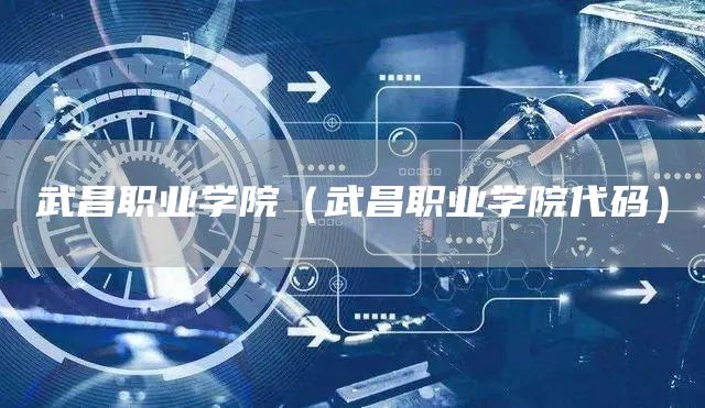 武昌职业学院（武昌职业学院代码）
