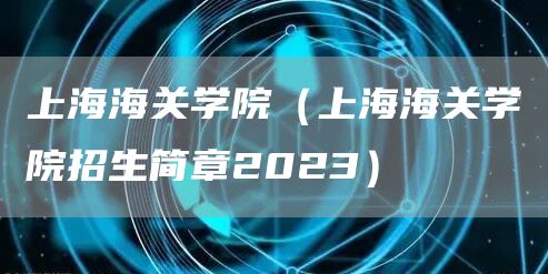 上海海关学院（上海海关学院招生简章2023）
