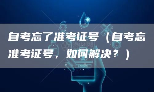 自考忘了准考证号（自考忘准考证号，如何解决？）