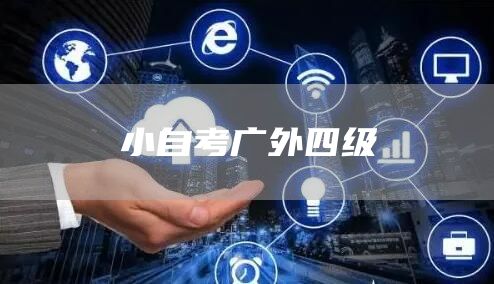 小自考广外四级(图1)