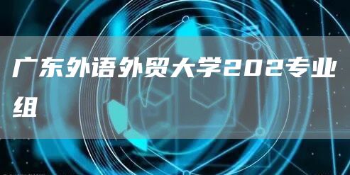 广东外语外贸大学202专业组(图1)