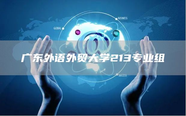 广东外语外贸大学213专业组