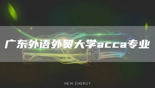 广东外语外贸大学acca专业