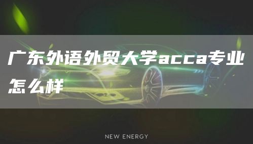 广东外语外贸大学acca专业怎么样