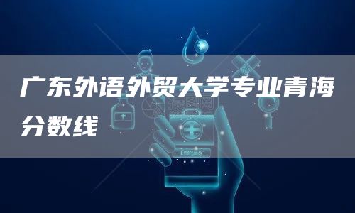 广东外语外贸大学专业青海分数线