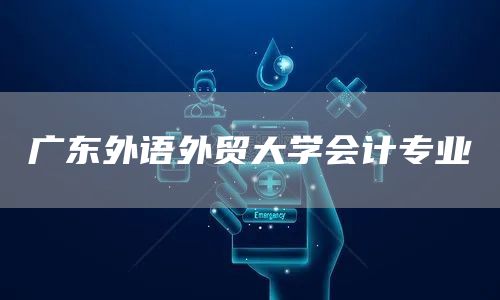 广东外语外贸大学会计专业