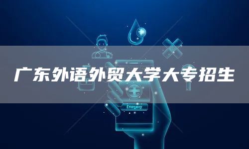 广东外语外贸大学大专招生(图1)