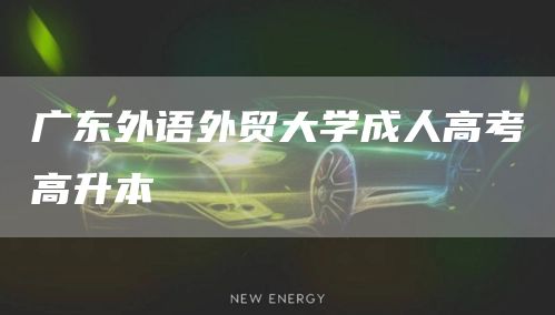 广东外语外贸大学成人高考高升本