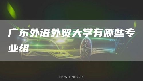 广东外语外贸大学有哪些专业组