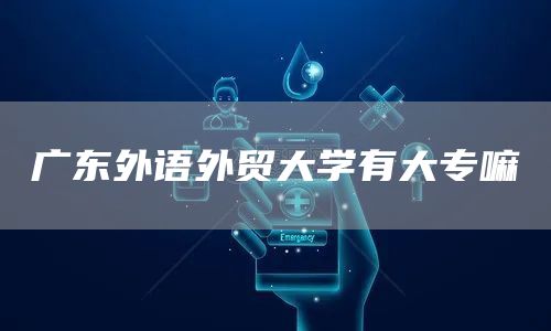 广东外语外贸大学有大专嘛