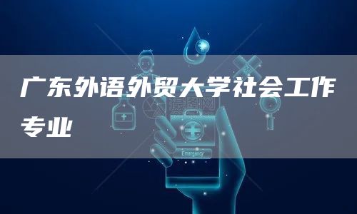 广东外语外贸大学社会工作专业
