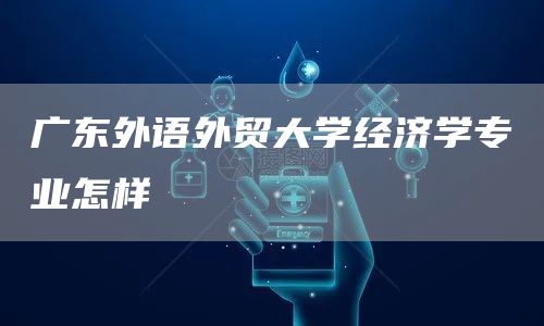 广东外语外贸大学经济学专业怎样(图1)