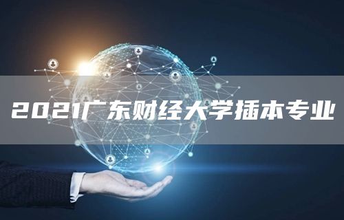 2021广东财经大学插本专业