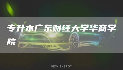 专升本广东财经大学华商学院