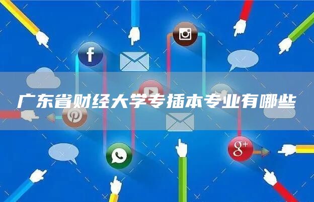 广东省财经大学专插本专业有哪些