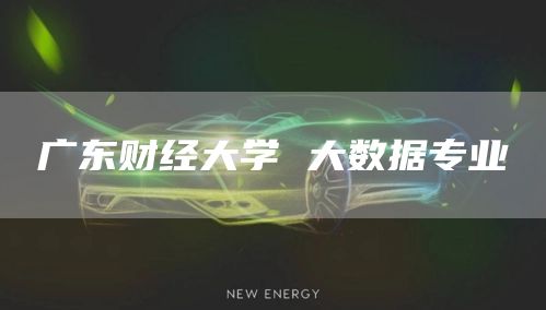 广东财经大学 大数据专业(图1)