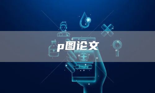 p图论文