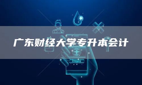 广东财经大学专升本会计(图1)