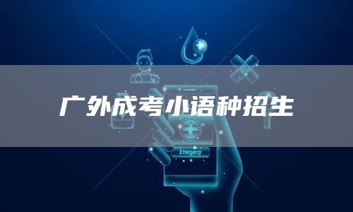 广外成考小语种招生