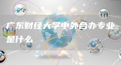 广东财经大学中外合办专业是什么