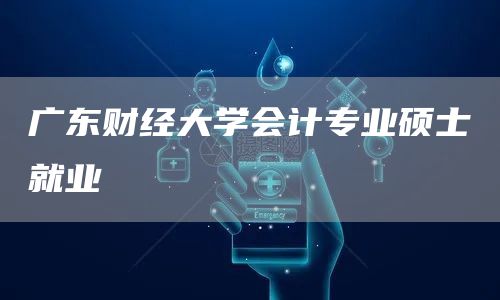 广东财经大学会计专业硕士就业