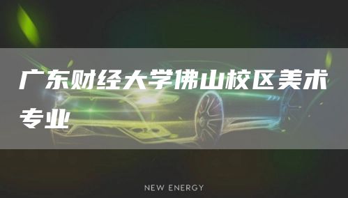 广东财经大学佛山校区美术专业