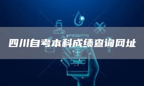 四川自考本科成绩查询网址