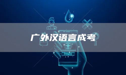 广外汉语言成考