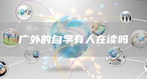 广外的自学有人在读吗