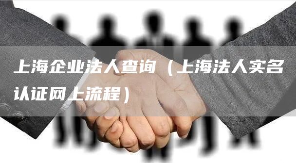上海企业法人查询（上海法人实名认证网上流程）(图1)