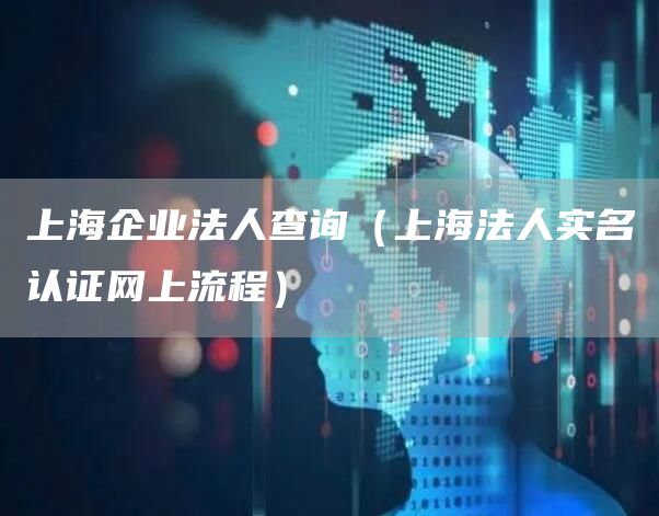 上海企业法人查询（上海法人实名认证网上流程）